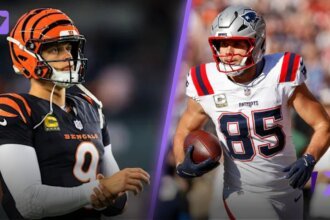 new england patriots vs bengals match player stats