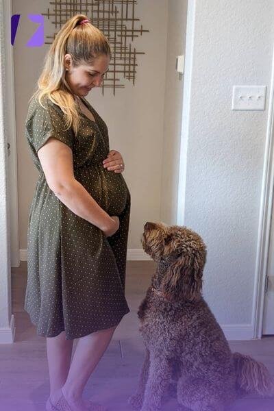 Tom Segura pregnant Christina Pazsitzky