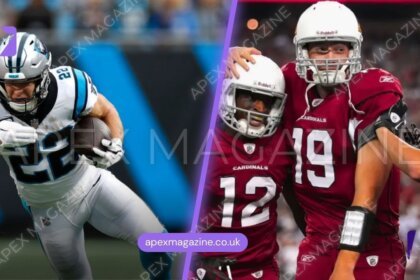 carolina panthers vs arizona cardinals match player stats