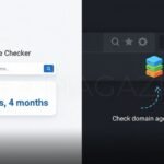Domain Age Checker