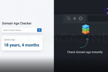Domain Age Checker