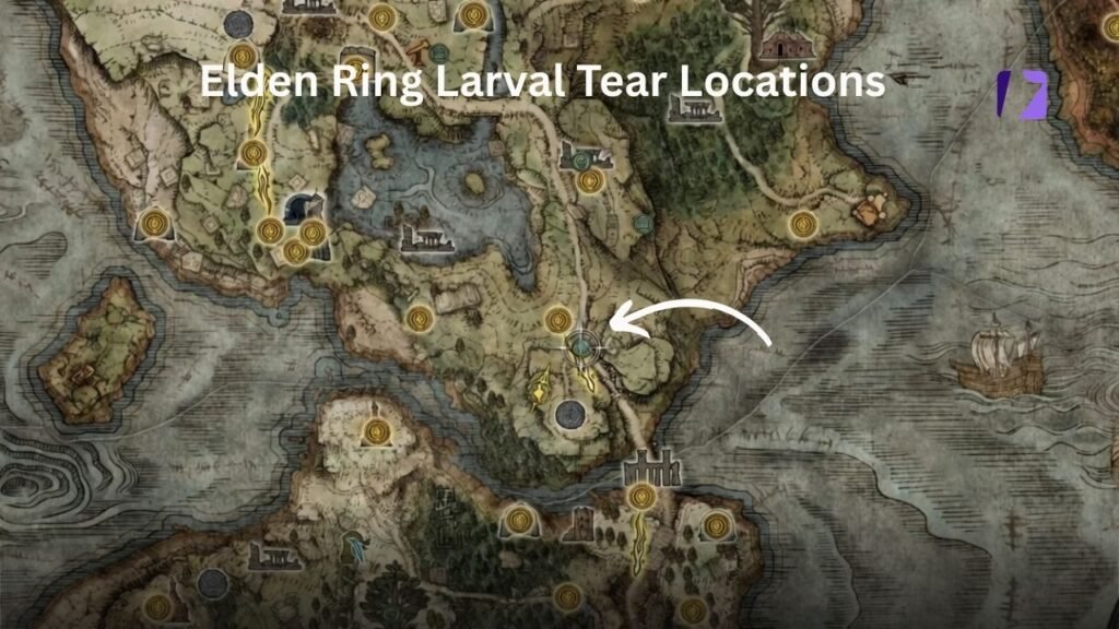 Tear Locations